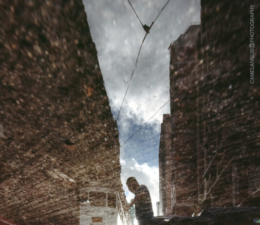 是異象還是幻想?INFP + 4w5 細思慾望與靈性