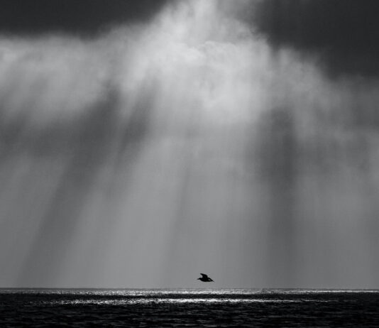 受造之物切望等候……誰?