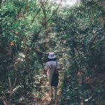 E195D79F-ABE6-4E03-9801-16A99538CEA5