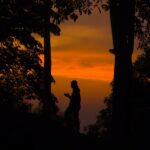 hafit-vyfIFXJCCWU-unsplash