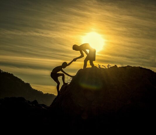 內向又敏感的幫助者:INFJ +二號