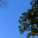 20220101230855_Edited