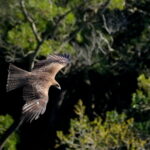 DSC02147_edit fo NarGod