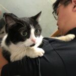 a4efbc47-5e80-4d01-a8cd-5dd0152bc317