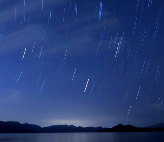 INTP 和 6號︰讓過去映照現在、開啟未來