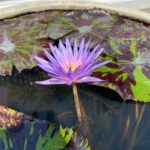 410f7bf4-e491-4350-bead-61ed986b6249